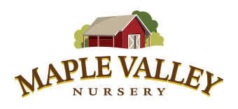 Maple Valley Nursery